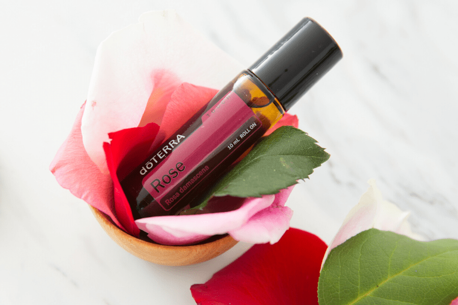 Rose Touch Rosa damascena - Imagem 3