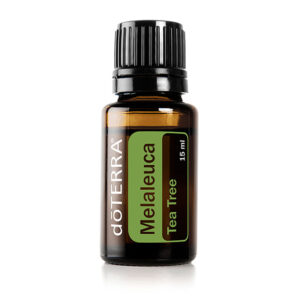 Melaleuca Óleo Essencial 15ml
